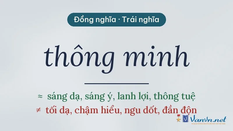từ đồng nghĩa, trái nghĩa với thông minh