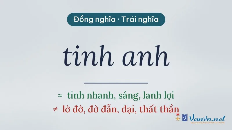 từ đồng nghĩa, trái nghĩa với tinh anh