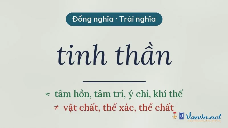 từ đồng nghĩa, trái nghĩa với tinh thần
