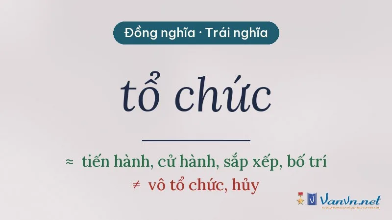 từ đồng nghĩa, trái nghĩa với tổ chức