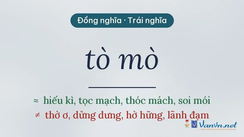 từ đồng nghĩa, trái nghĩa với tò mò