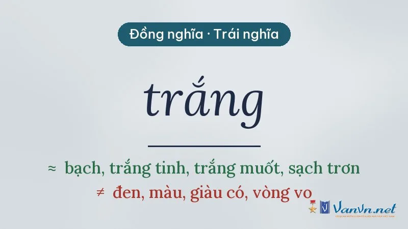 từ đồng nghĩa, trái nghĩa với trắng