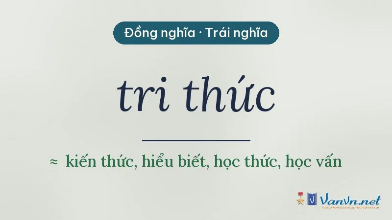 từ đồng nghĩa, trái nghĩa với tri thức