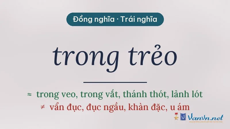từ đồng nghĩa, trái nghĩa với trong trẻo