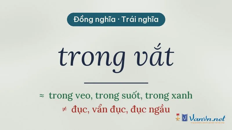 từ đồng nghĩa, trái nghĩa với trong vắt