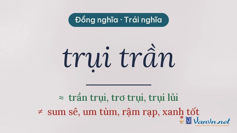 từ đồng nghĩa, trái nghĩa với trụi trần