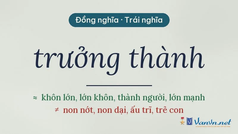 từ đồng nghĩa, trái nghĩa với trưởng thành