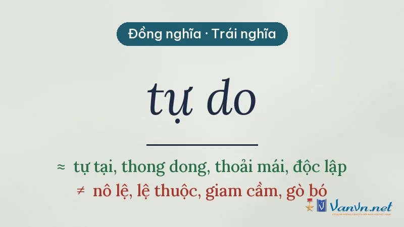 từ đồng nghĩa, trái nghĩa với tự do