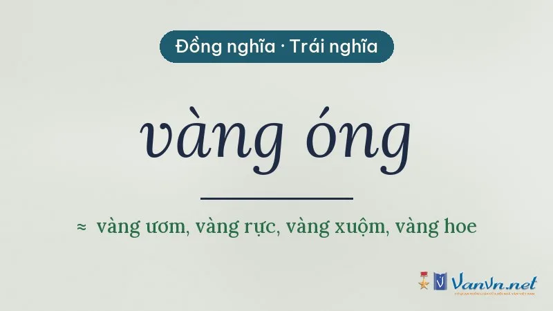 từ đồng nghĩa, trái nghĩa với vàng óng