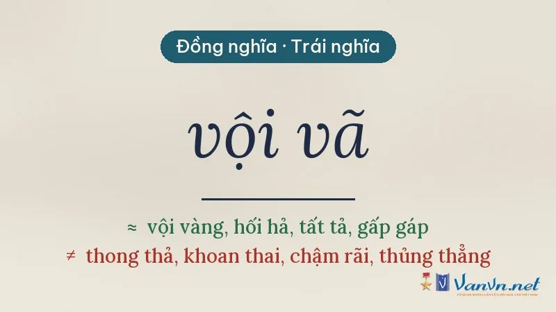từ đồng nghĩa, trái nghĩa với vội vã