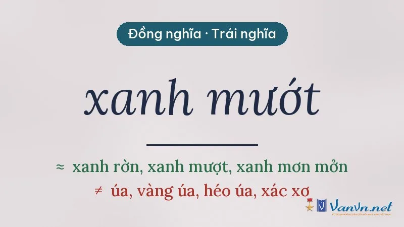 từ đồng nghĩa, trái nghĩa với xanh mướt