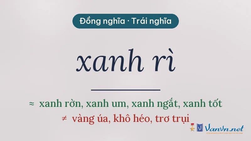 từ đồng nghĩa, trái nghĩa với xanh rì