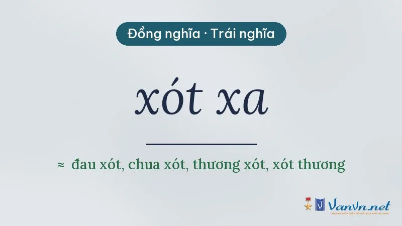 từ đồng nghĩa, trái nghĩa với xót xa