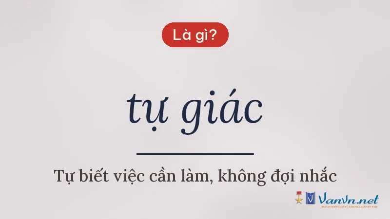 tự giác là gì