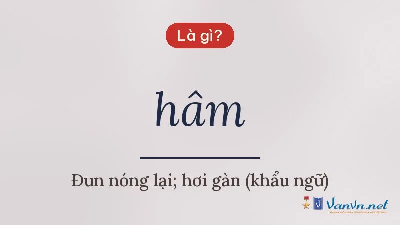 hâm là gì