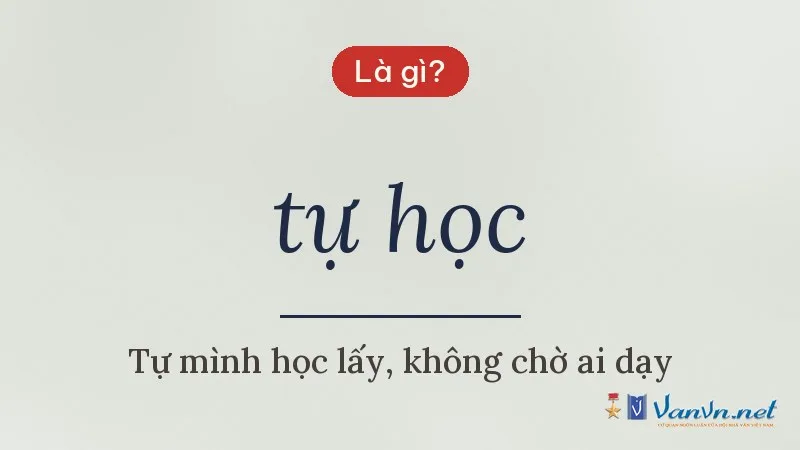 tự học là gì