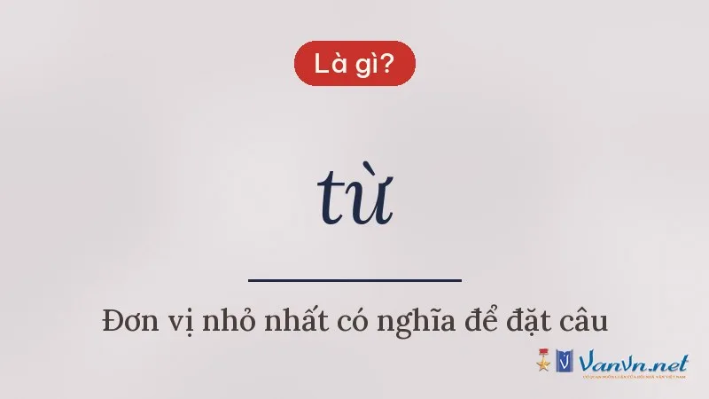 từ là gì