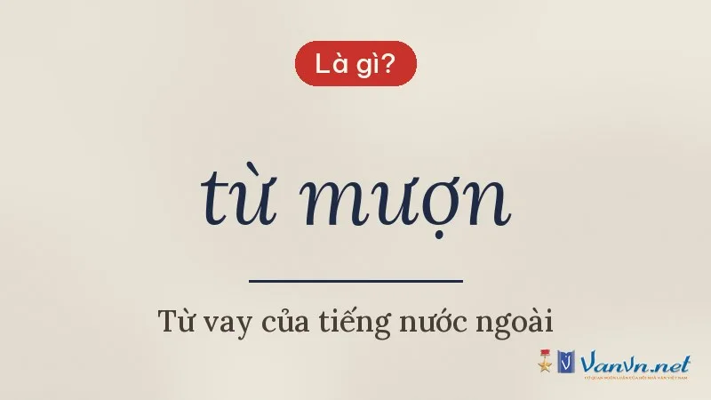 từ mượn là gì