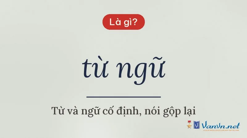 từ ngữ là gì
