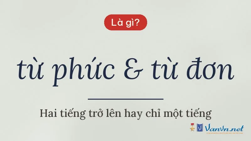từ phức & từ đơn là gì
