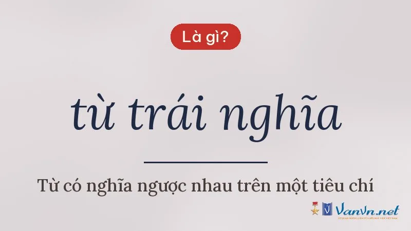 từ trái nghĩa là gì