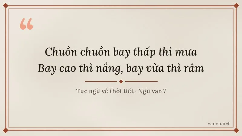 tục ngữ Chuồn chuồn bay thấp thì mưa