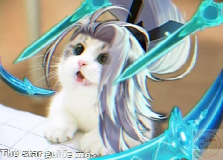 tulen meme
