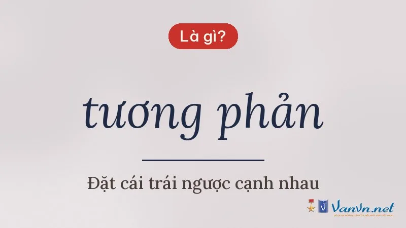 tương phản là gì