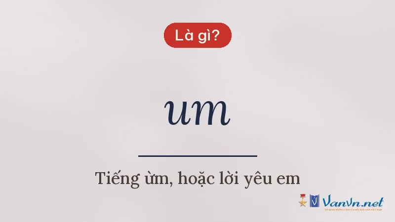 um là gì