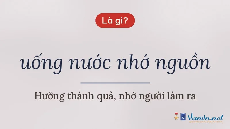 uống nước nhớ nguồn là gì