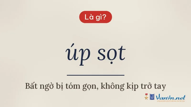 úp sọt là gì