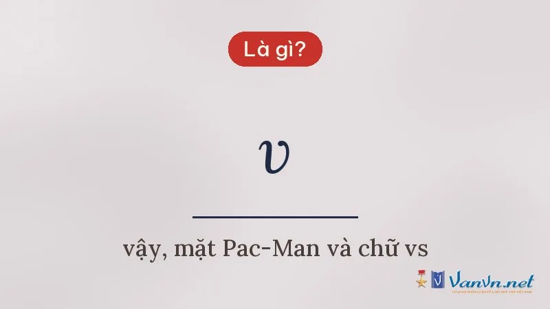 v là gì