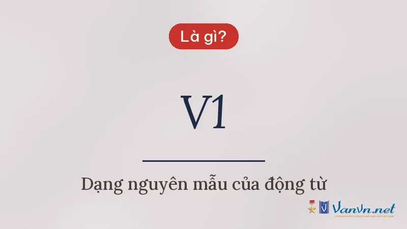 V1 là gì
