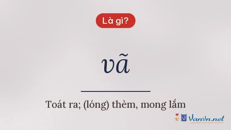 vã là gì