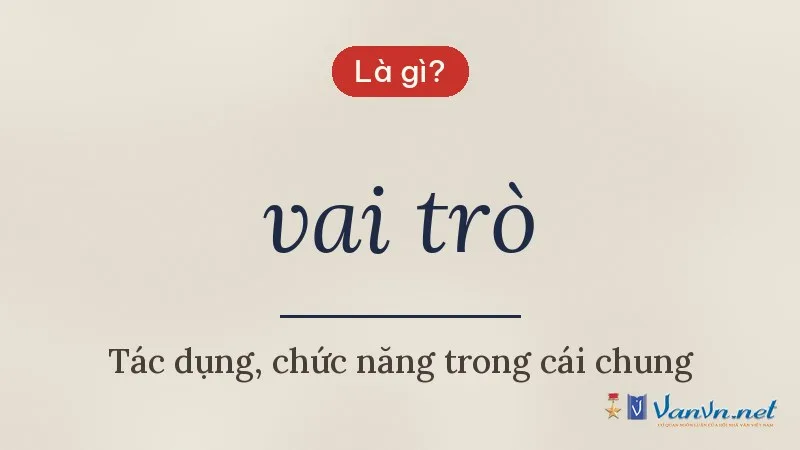 vai trò là gì