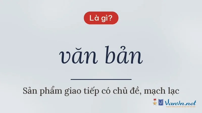 văn bản là gì