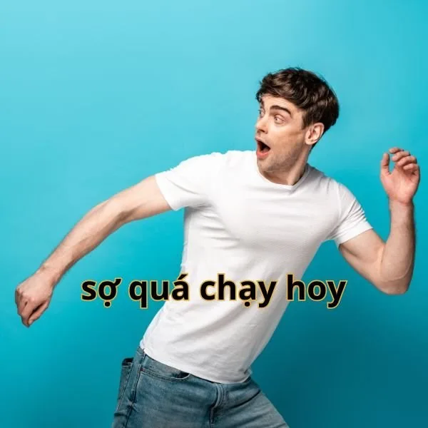 vắt cực khô meme