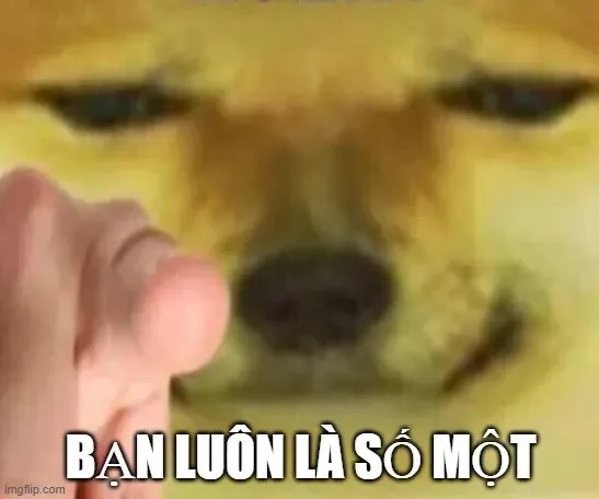 meme vì bạn xứng đáng