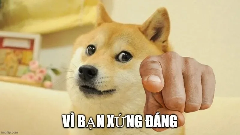 meme vì bạn xứng đáng