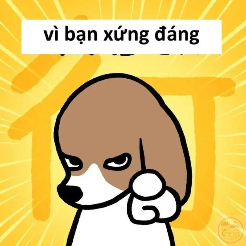 meme vì bạn xứng đáng