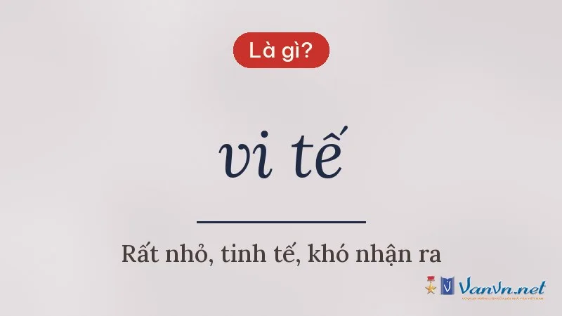 vi tế là gì