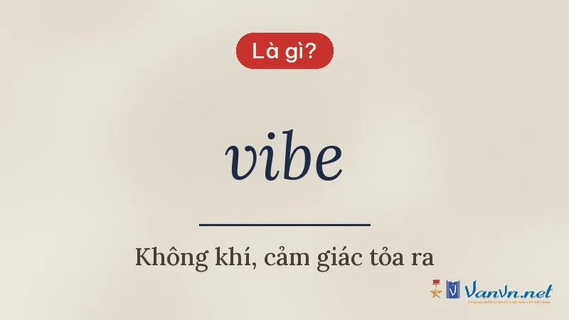 vibe là gì