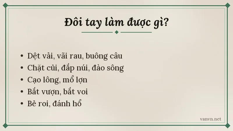 những việc của đôi tay trong đồng dao tay đẹp