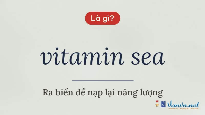 vitamin sea là gì