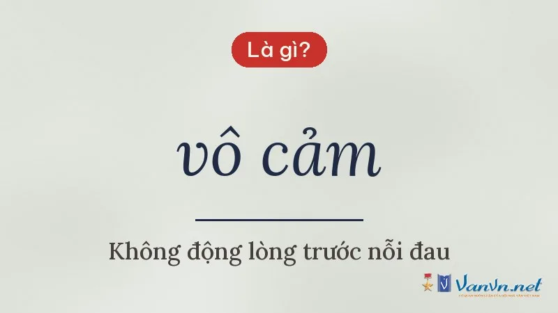 vô cảm là gì