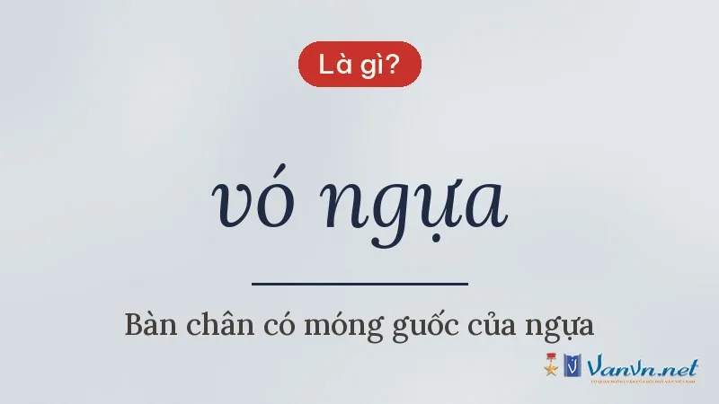 vó ngựa là gì
