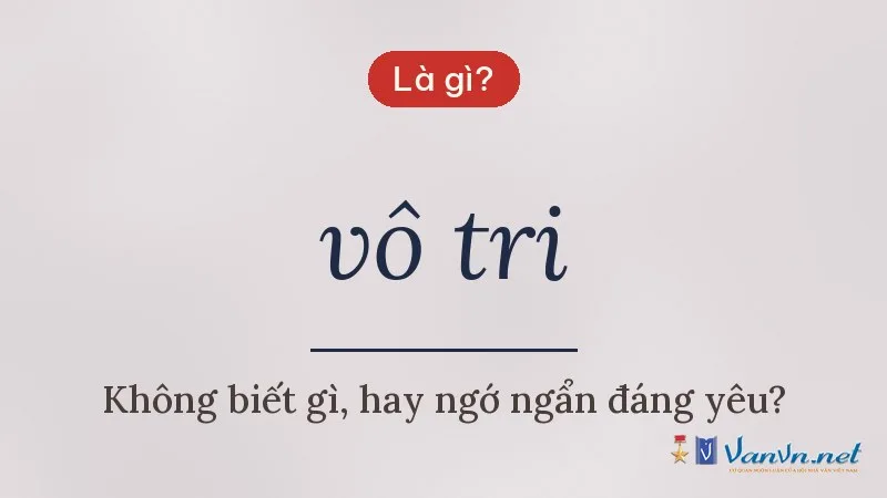 vô tri là gì