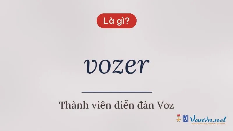 vozer là gì