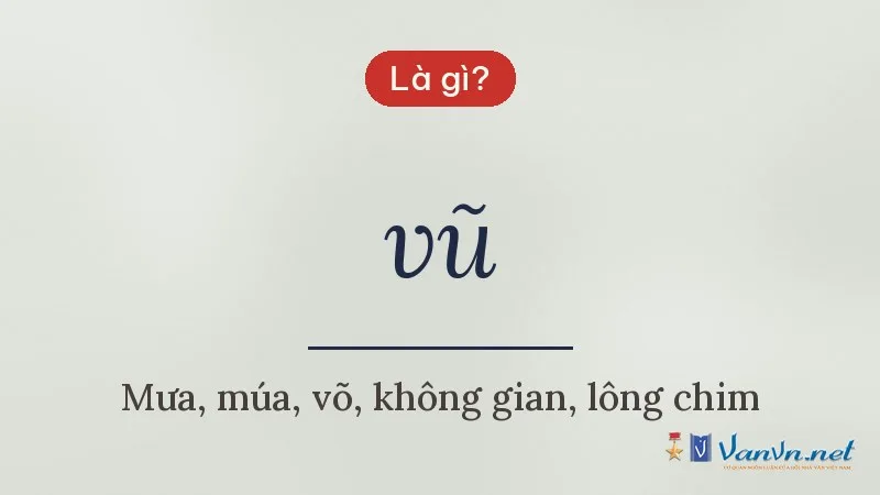 vũ là gì
