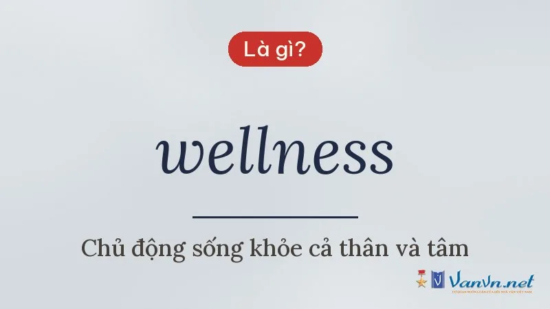 wellness là gì